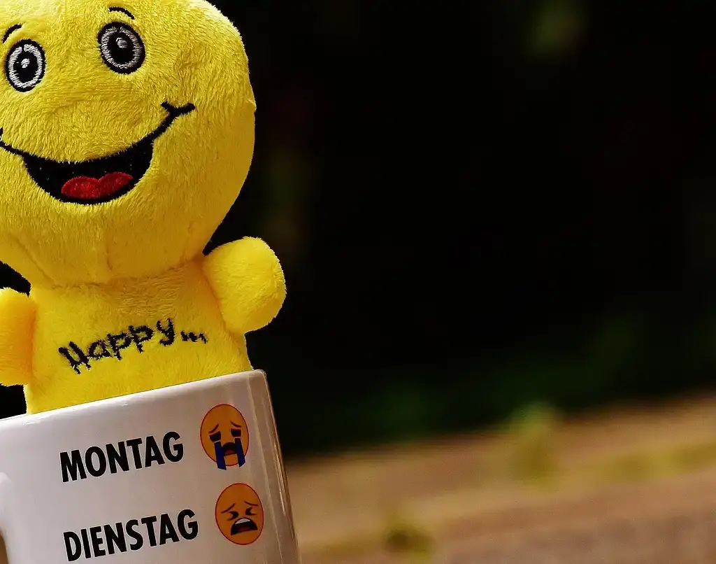 allemand jours de la semaine