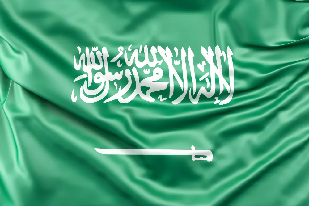 l'arabe littéraire